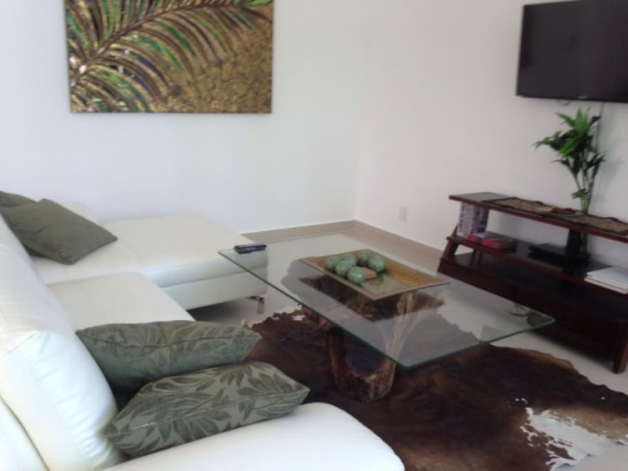 Living room, BluRay and TV, Bluetooth speaker