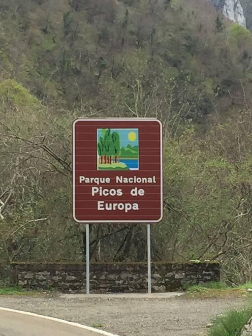 Welcome to the Picos de Europa!