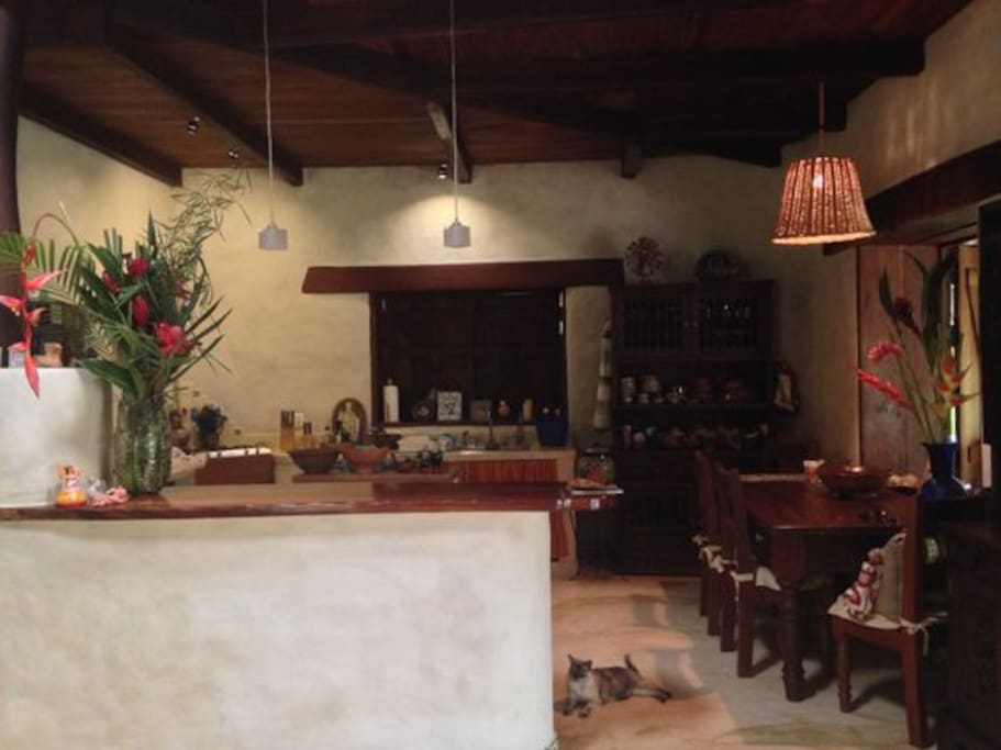 Kitchen- fully equipped kitchen, spacious with large dining table