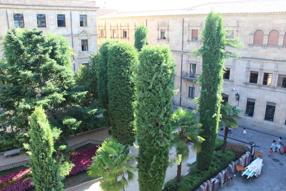 The image captures a vibrant courtyard filled with tall, lush trees and manicured greenery. Colorful flower beds add visual interest, while lounge chairs are visible along the edges. The surrounding stone buildings hint at the historical charm of the area, creating a serene outdoor space.