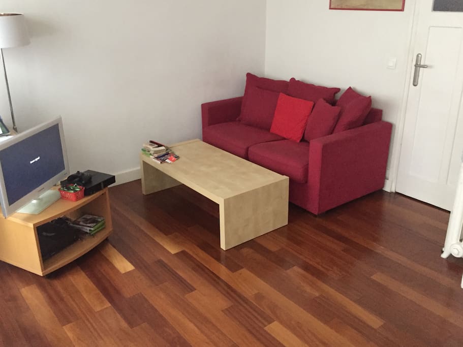 Living room with a convertible couch bis