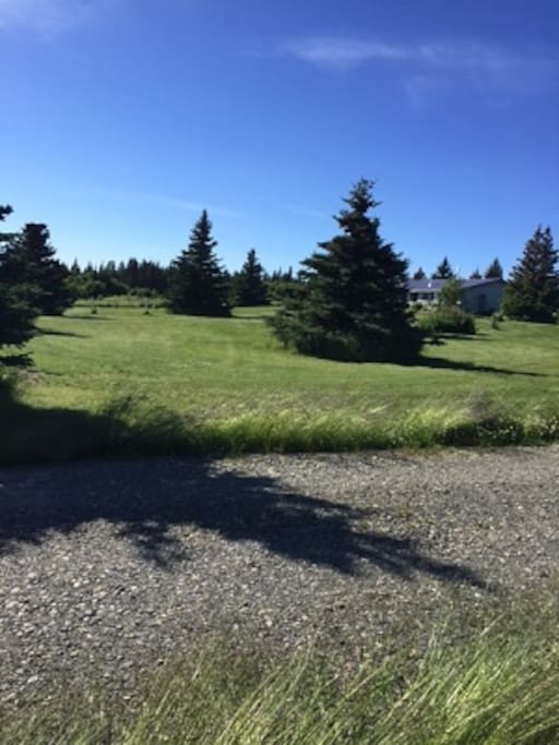 View of house from road. Large quiet yard! Often has moose and crane in it.