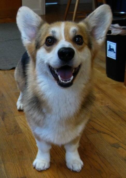 Don't look into his eyes.