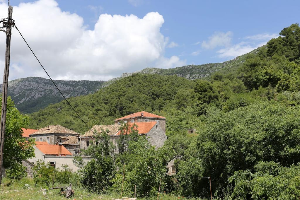 Terrace View