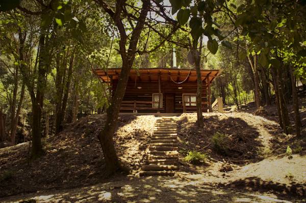 A rustic wooden cabin is nestled among trees, featuring a covered porch supported by pillars. A series of stone steps lead up to the entrance, surrounded by natural foliage and earthy ground. Sunlight filters through the leaves, enhancing the serene outdoor setting.