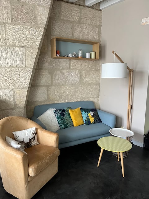 Airbnb performant: St Martin Châteauneuf Halles Basilica towers 65 m2 à Indre Et Loire