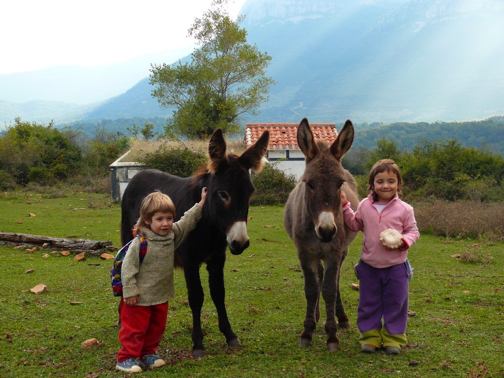 Two children stand beside two donkeys in a grassy field, with gentle hills in the background. The children interact with the animals, showcasing a warm connection. Soft sunlight filters through the trees, creating a serene outdoor atmosphere.