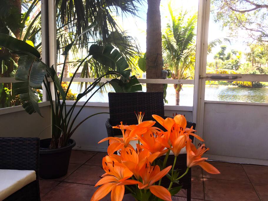 Lovely refreshing lake view on the porch.