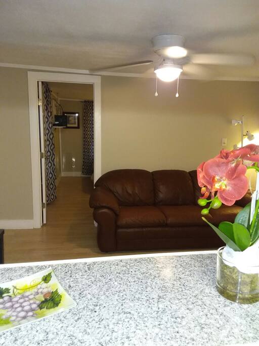 Clean, Comfortable livingroom with plush leather sofa for relaxation or watching TV