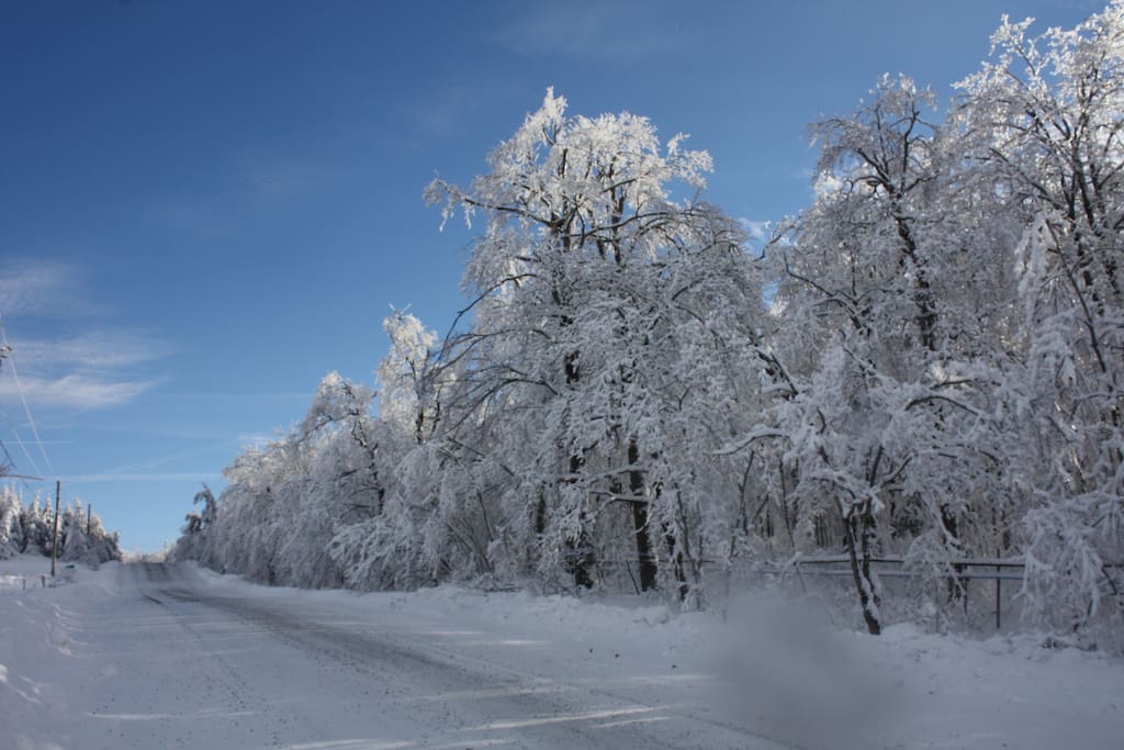 Si vous aimez la neige