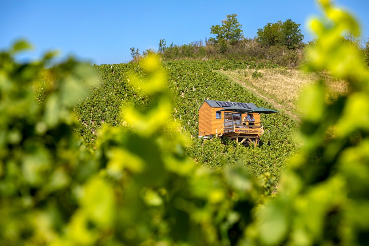 A wooden cabin is nestled amidst green vineyards on a hillside, with a spacious terrace visible. Surrounded by lush grapevines, the structure features a sloped roof and solar panels, blending harmoniously into the natural landscape.