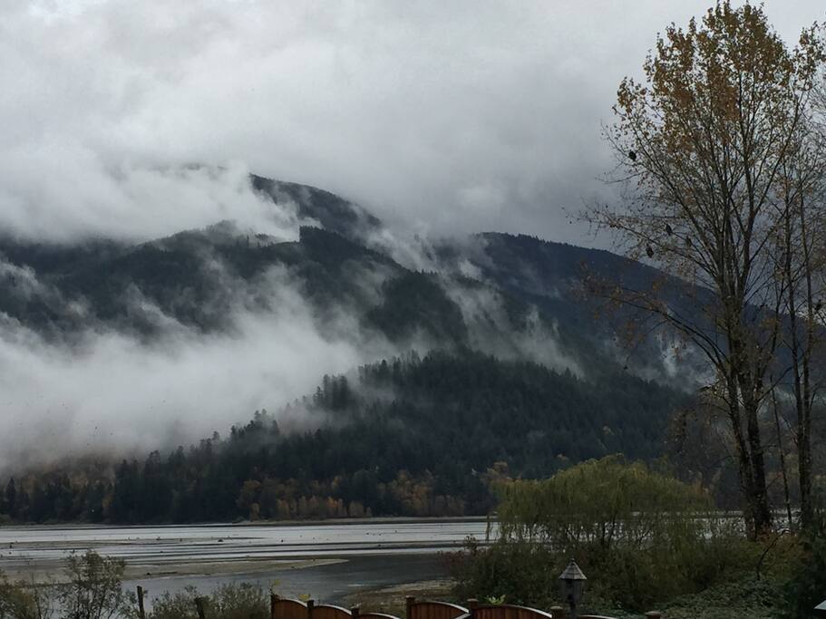view from river side of home.