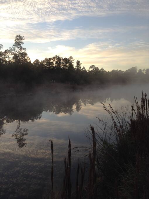 Just another morning view!