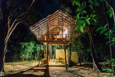 Magical Tree House in Jungle next to Pidurangala