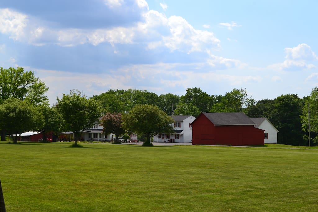 The farm