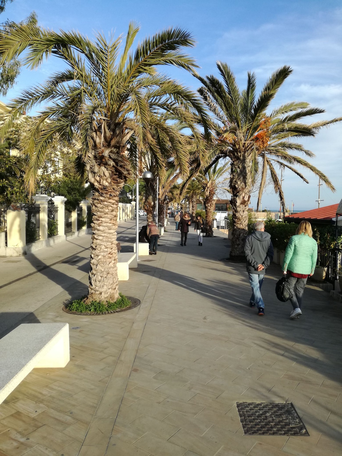 A tree-lined promenade features several palm trees along a paved walkway. Pedestrians can be seen strolling, with some engaged in conversation. Sunlight casts shadows on the path, creating a serene atmosphere. Fences and buildings line the walkway, enhancing the vibrant outdoor scene.