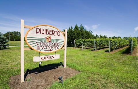 Romantic Luxury Suite on a Vineyard!