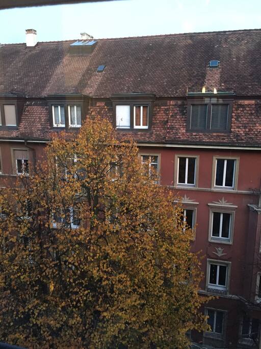 view out of the kitchen window