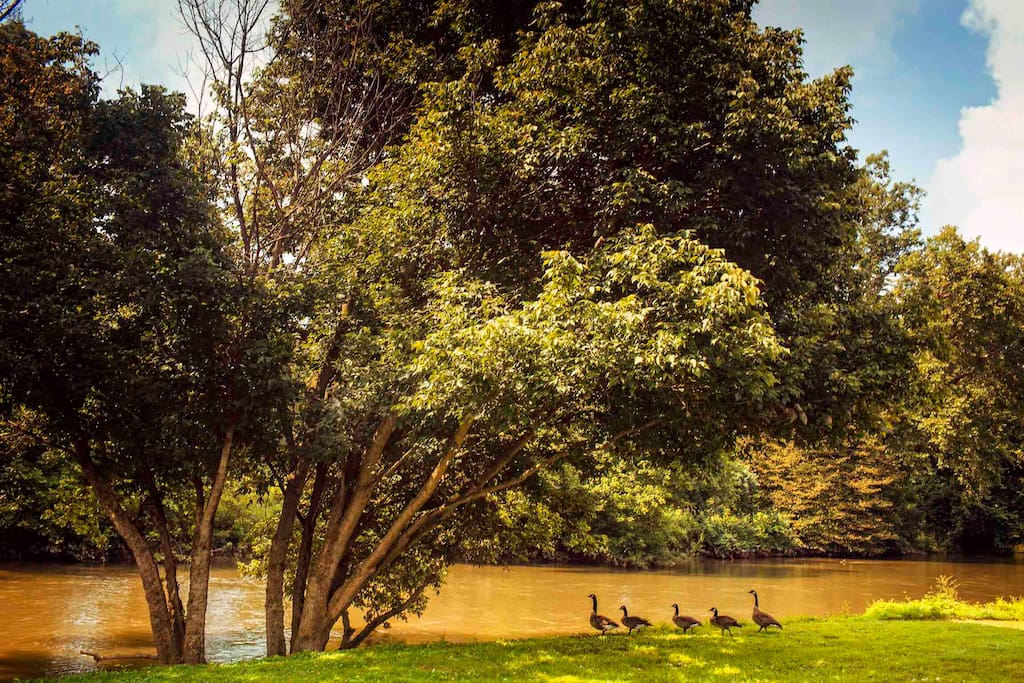 The Antietam Creek with friends