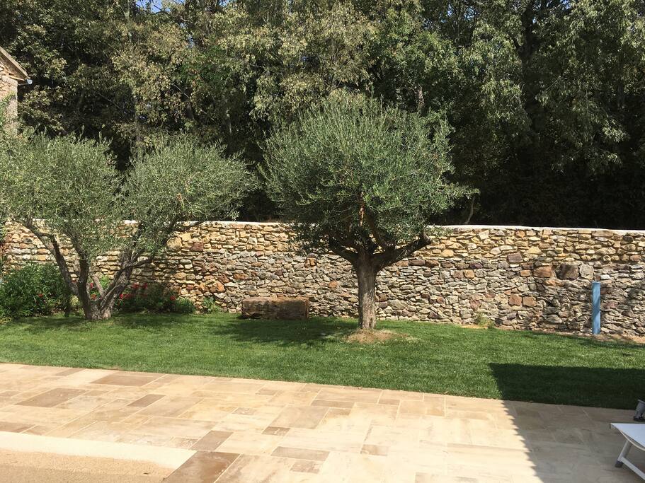 Jardin