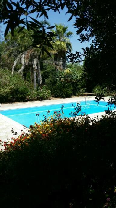 Piscina esterna