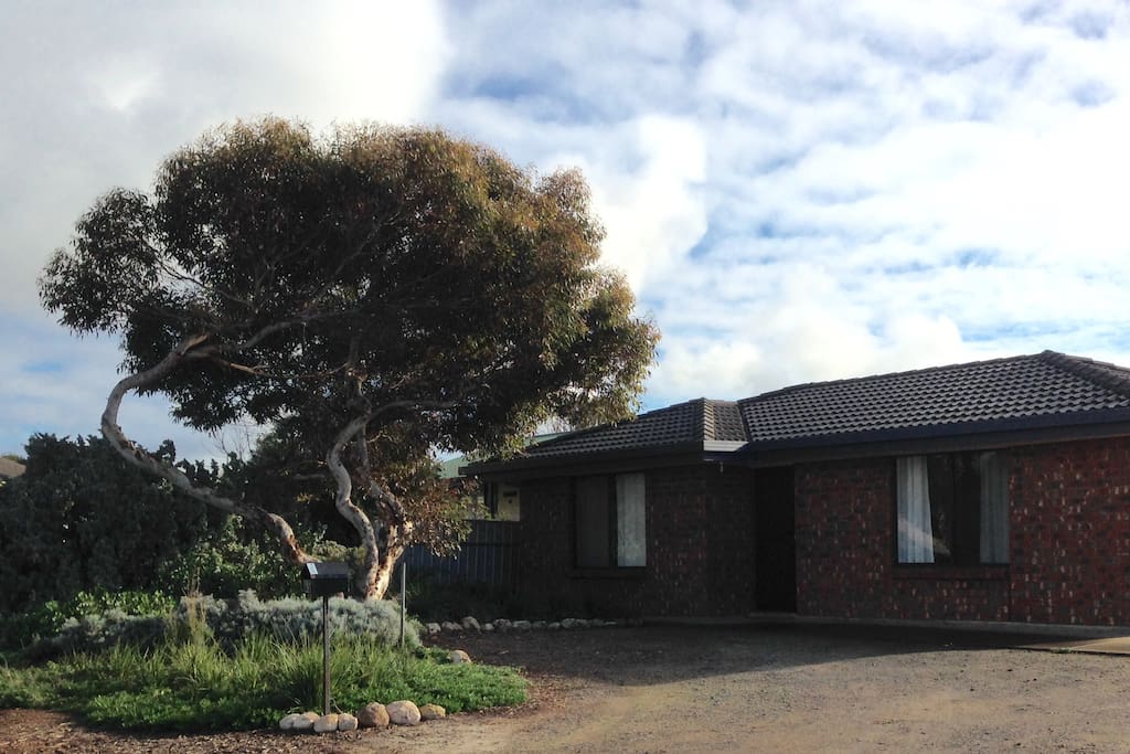 Solid brick home with native front garden.