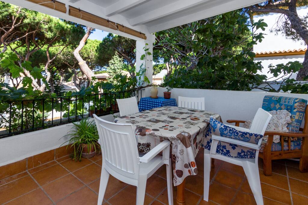 Terrace
Terraza