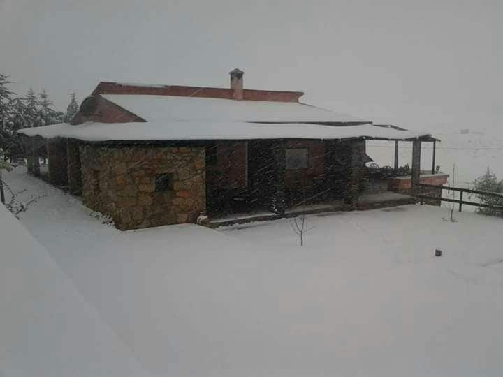 A rustic house is partially obscured by snow, with a stone exterior and a broad overhanging roof. The surrounding landscape is blanketed in white, and the serene atmosphere is enhanced by a gentle snowfall. A small tree is visible in the foreground.
