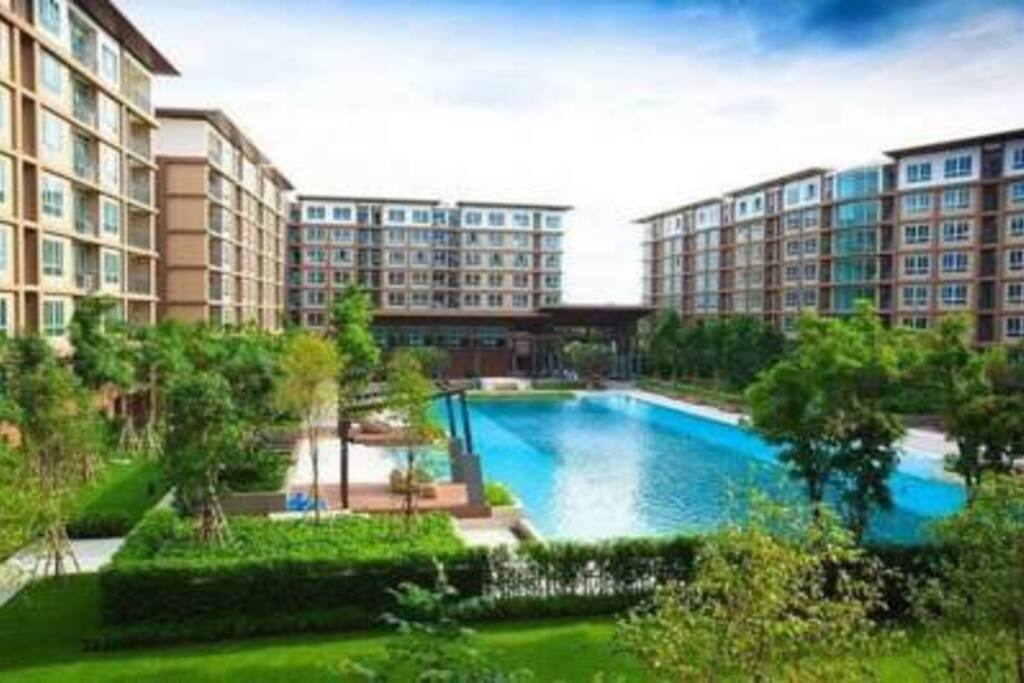 Large swimming pool