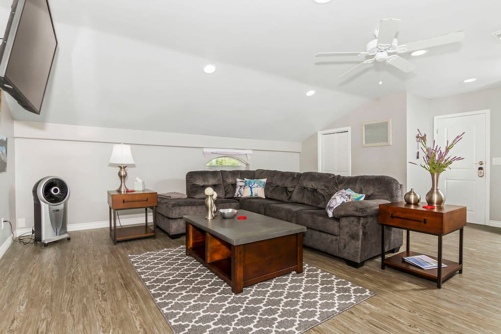 Living room with pull out couch