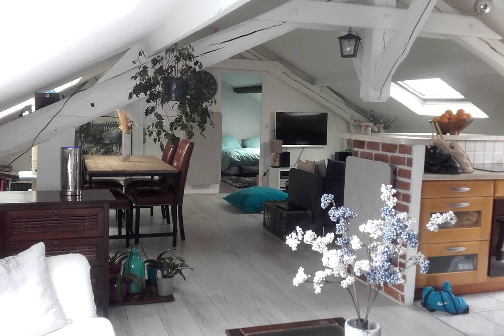 ESPACE SALLE A MANGER A GAUCHE ET SALON AVEC TELE A DROITE