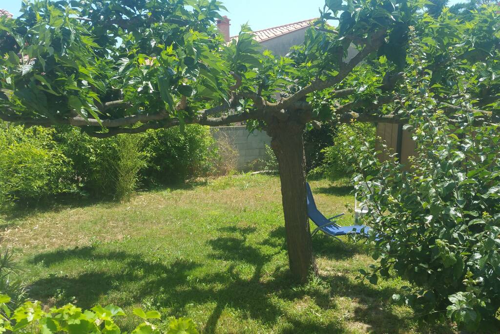 Jardin