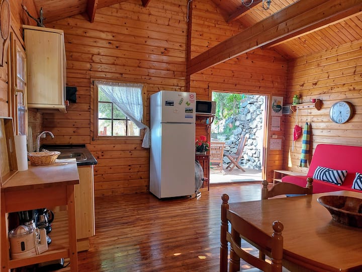 ダイニングキッチン、木造の居心地の良いコテージ。 開け放たれたドアから入る自然光と、白とライトカーテンのある窓からお部屋が照らされています。 左側には設備の整った小さなキッチンがあります 