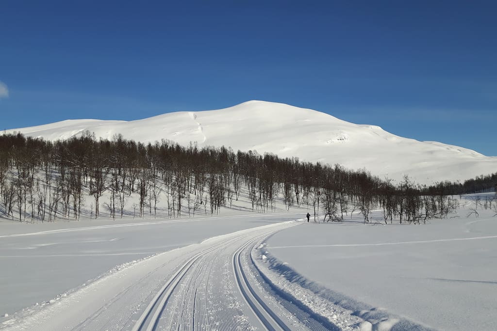 Perfect location for skiing