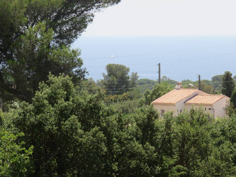 Vue depuis la terrasse