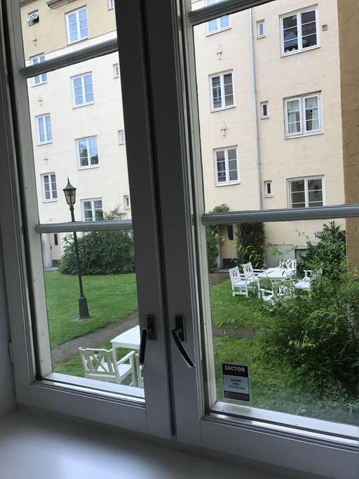 View of the back garden from the kitchen.