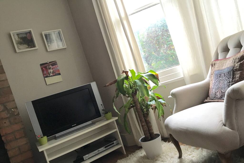 Comfy lounge
