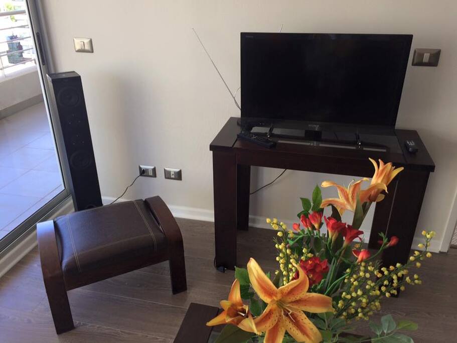Tiene TV con cable y decodificador, parlante de musica con radio y Bluetooth