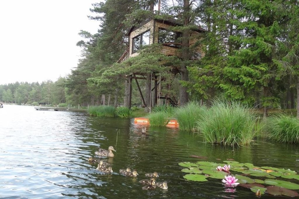 View from the lake Ninieris