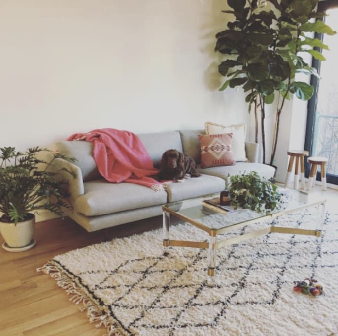 Other side of living room! We get amazing sunlight in the mornings and the evenings