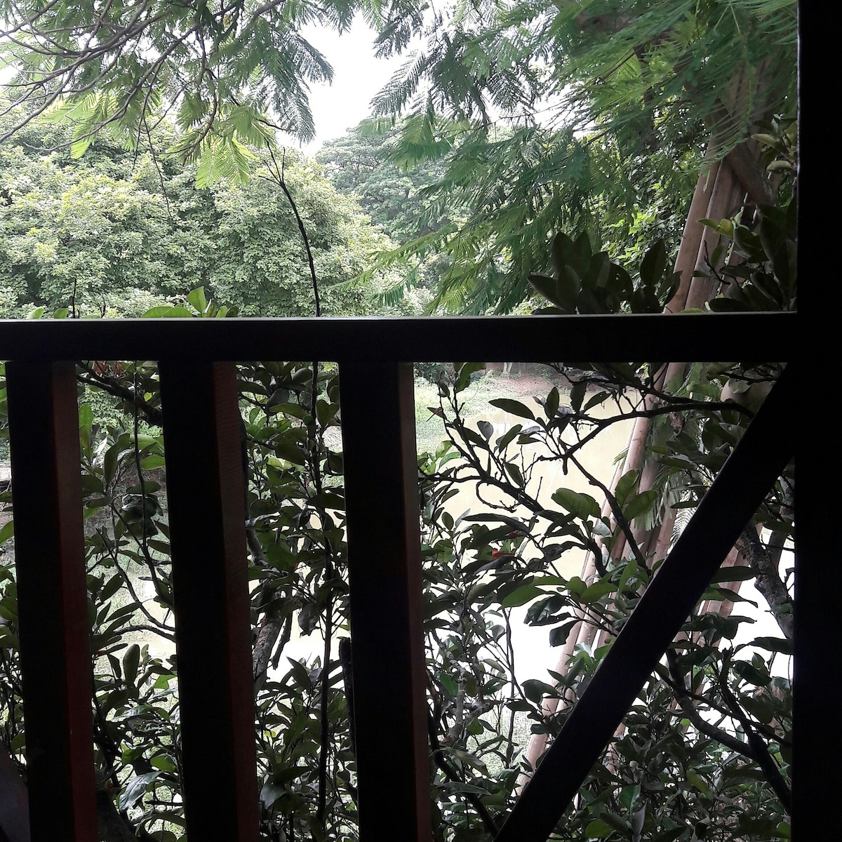 A view from a wooden balcony showcases lush greenery, with trees and foliage framing a serene fishery pond. The natural surroundings create a peaceful ambiance, enhancing the sense of privacy and tranquility.