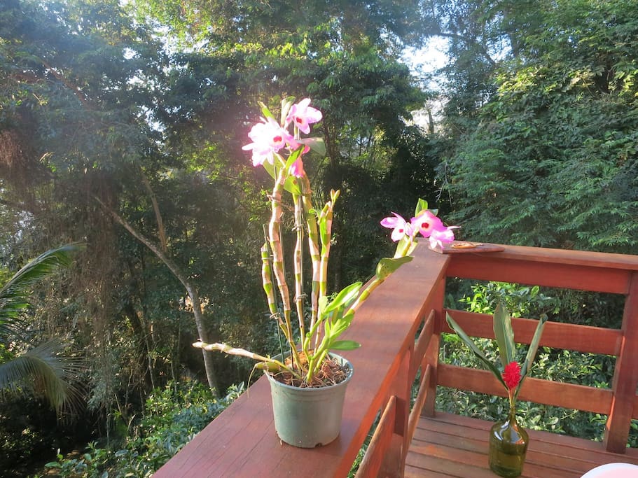 A natureza