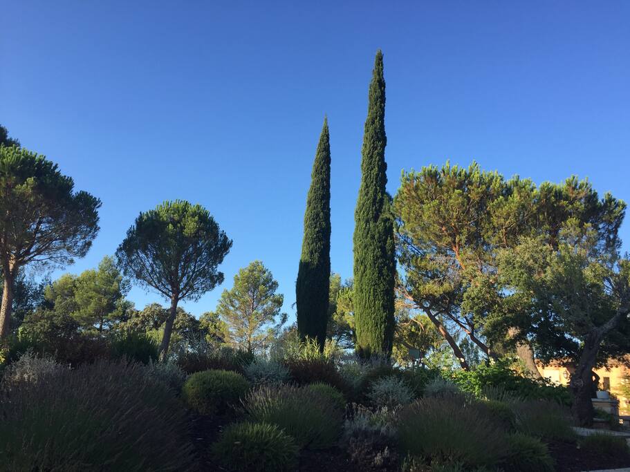 Le jardin