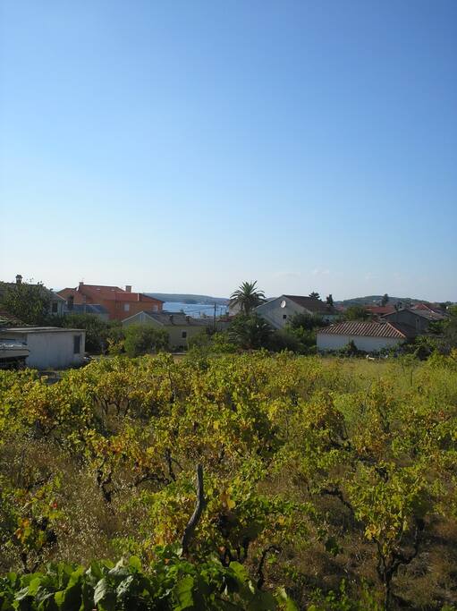 Ausblick