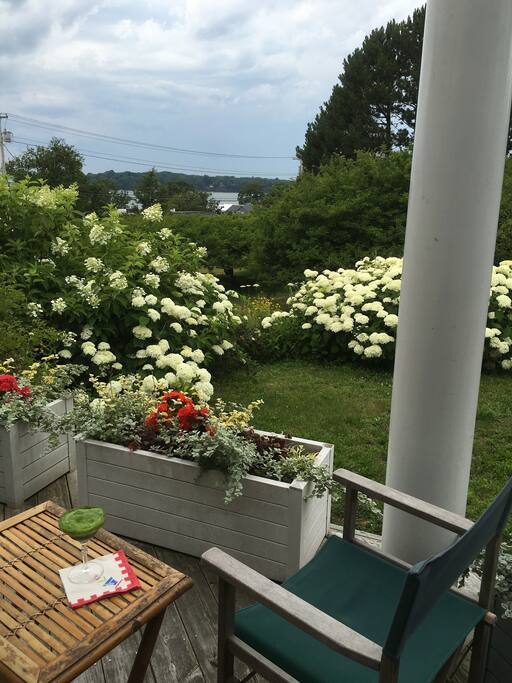You are a sweet walk to restaurants and shops ~ ~ so close, yet in lovely sequestered retreat. . . a wonder-full easy balance.