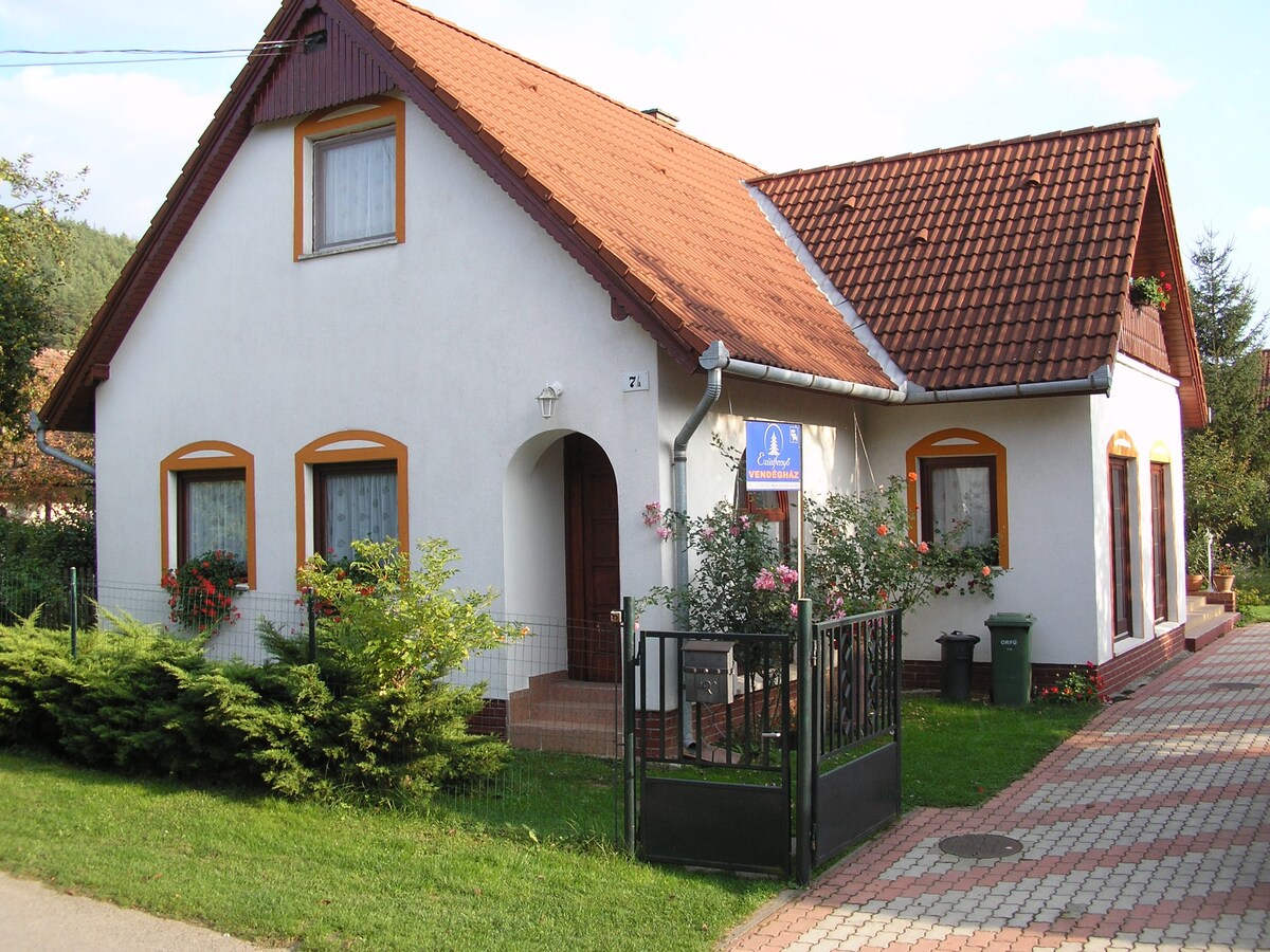венгрия домов