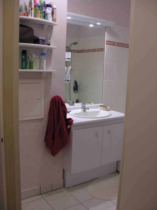 salle de bain de 6m2 avec baignoire