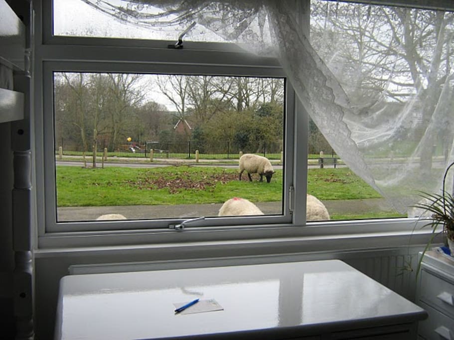 Car parking + children's playground with swings and slides in front of bedroom window. There are no sheep outside. They ventured away from nearby fields, once (it is an old photo).