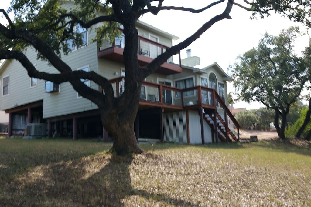 Large yard with great trees