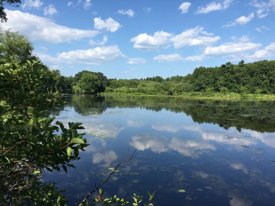 Pond access from backyard